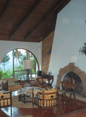 Living room and fireplace